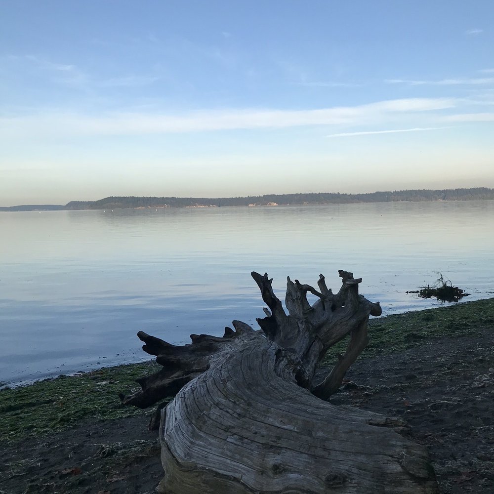Tolmie State Park - Parks Near Me - Olympia, Washington Tolmie State Park - Parks Near Me - Olympia, Washington
