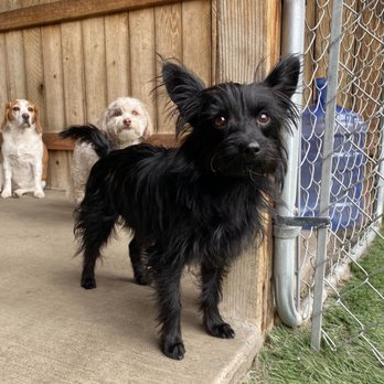 Urban Dogg - Washington Park - Pet Groomers Near Me - Denver, Colorado Urban Dogg - Washington Park - Pet Groomers Near Me - Denver, Colorado