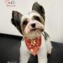 Pet Love Grooming Services