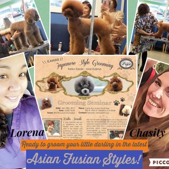 Riverside Grooming - Two of our top Groomers now Trained in the latest Dog Beauty Trend Asian Fusion Style! - Pet Groomers Near Me - Riverside, California