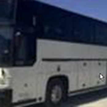 Youngblood Charter Services - Bus Rental Near Me - Wesley Chapel, Florida Youngblood Charter Services - Bus Rental Near Me - Wesley Chapel, Florida