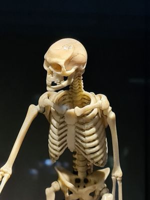 Residenzschloss by null