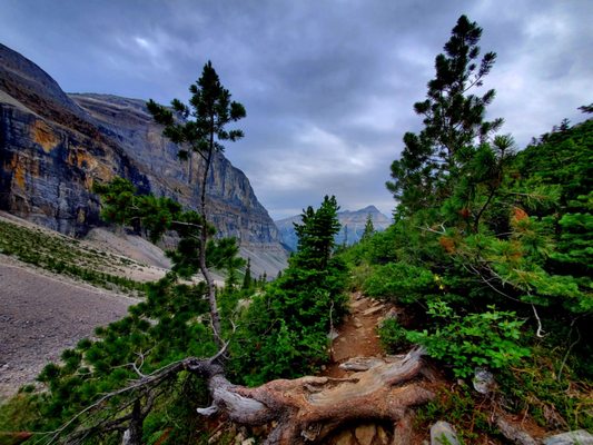 Kootenay National Park by null