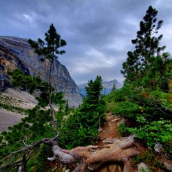Kootenay National Park - Stanley Glacier Hike