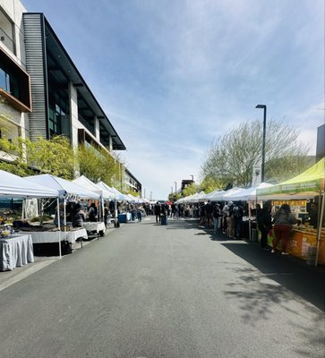 Uncommons Farmers Market by null