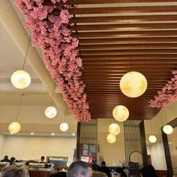 Sukihana Japanese Cuisine - Inside. So cute