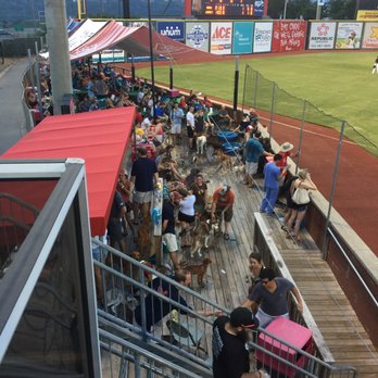 Chattanooga Lookouts - Dog day at the ball park - Professional Sports Teams Near Me - Chattanooga, Tennessee