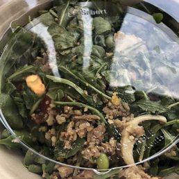 Salad Bowls
