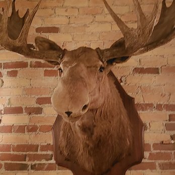 Bodega - Taxidermy is everywhere in UT - Bars Near Me - Salt Lake City, Utah Bodega - Taxidermy is everywhere in UT - Bars Near Me - Salt Lake City, Utah