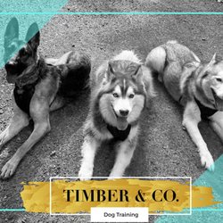 Timber and Co. Dog Boarding/Daycare