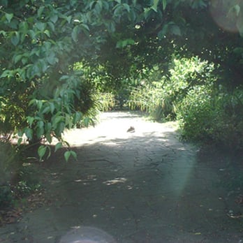 Old English Garden - Parks Near Me - London, XGL