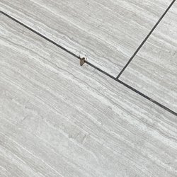 One and two cockroaches