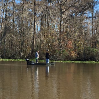 Ultimate Swamp Adventures - Tours Near Me - Westwego, Louisiana Ultimate Swamp Adventures - Tours Near Me - Westwego, Louisiana