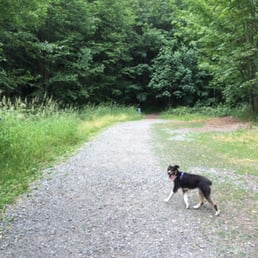 Off leash for a little while because no one was around. :) Off leash for a little while because no one was around. :)