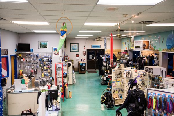 Underwater World by null