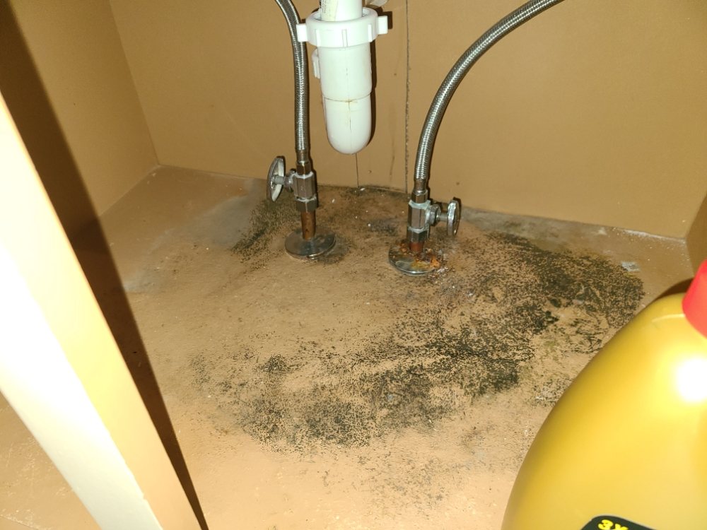 Slide of Sick Home Solutions