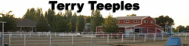 Terry Teeples Horse Boarding - equestrian in Willard, UT