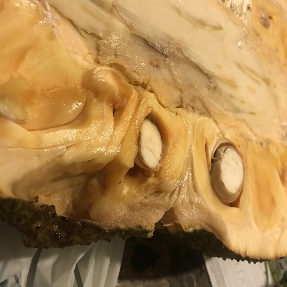 Trai Cay Ngon - Rotten jackfruit - opened one day after purchase. - Fruits & Veggies Near Me - Westminster, California Trai Cay Ngon - Rotten jackfruit - opened one day after purchase. - Fruits & Veggies Near Me - Westminster, California