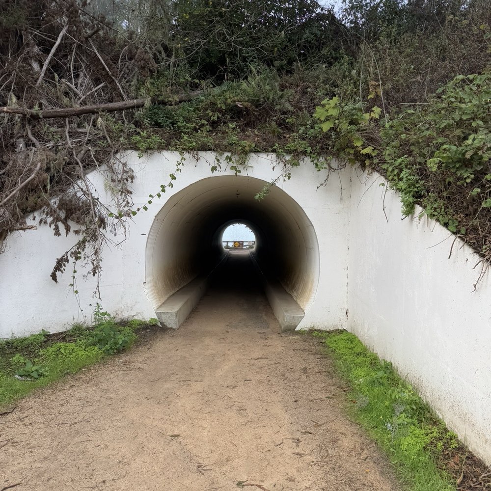 Julia Pfeiffer Burns State Park - Path to mcway falls - Parks Near Me - Big Sur, California