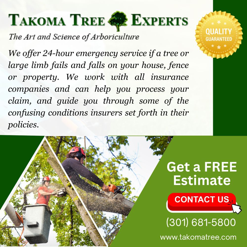 TAKOMA TREE EXPERTS - Updated July 2026 - 30 Photos & 21 Reviews - 2310 ...