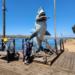 Molino Viejo - Deck