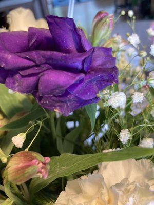 Safeway Bakery by null