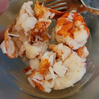 The Lobster Co. - 1/2 lb of lobster meat - Seafood Markets Near Me - Arundel, Maine The Lobster Co. - 1/2 lb of lobster meat - Seafood Markets Near Me - Arundel, Maine