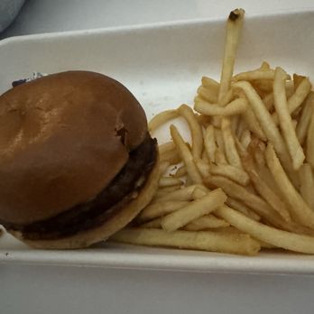 Hyatt Regency Austin - This was my $20 burger and greasy fries!  Absolutely painful! - Hotels Near Me - Austin, Texas