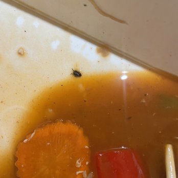 Toss Noodle Bar - Bug in food - Asian Fusion Near Me - Berkeley, California Toss Noodle Bar - Bug in food - Asian Fusion Near Me - Berkeley, California