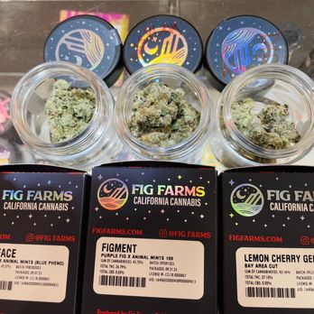 Bloomerang - Top Shelf Buds - Cannabis Dispensaries Near Me - San Francisco, California