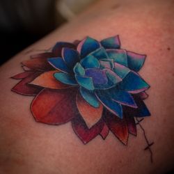 Little Shop Of Ink - Full color succulent by Kristina Murphy