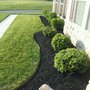 Photo of Precise Cut Lawn Service
