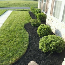 Precise Cut Lawn Service