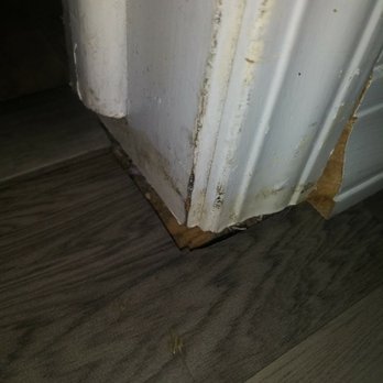 Best Carpet - gaps near door jams - Carpeting Near Me - Montclair, California