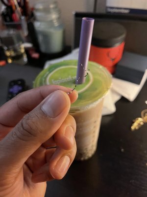 Tapioca Express by null