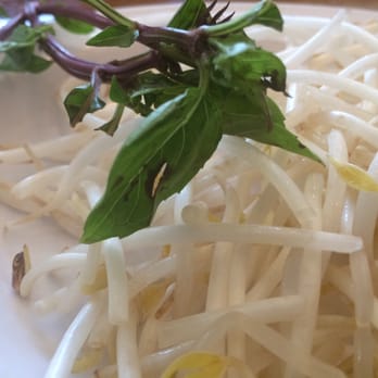 Saigon Cafe - Cumberland - Basil and sprouts on their last leg.... - Vietnamese Near Me - Smyrna, Georgia