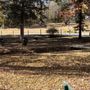 Photo of Old City Lake