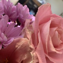 Blooming Flowers