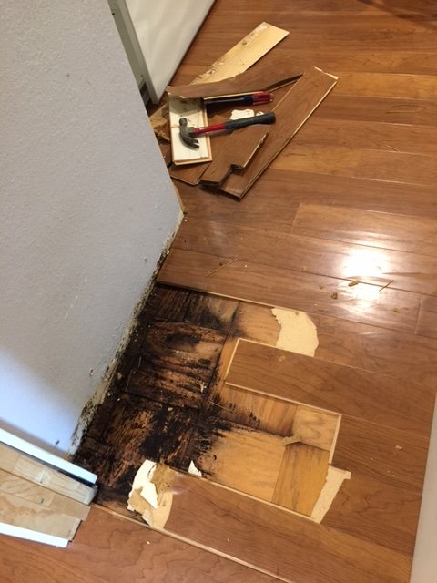 Slide of Specialty Inspections