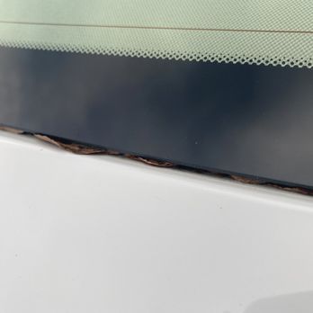 Cobblestone Auto Spa - Loose Leaves still in the car that easily comes off - Car Wash Near Me - Gilbert, Arizona