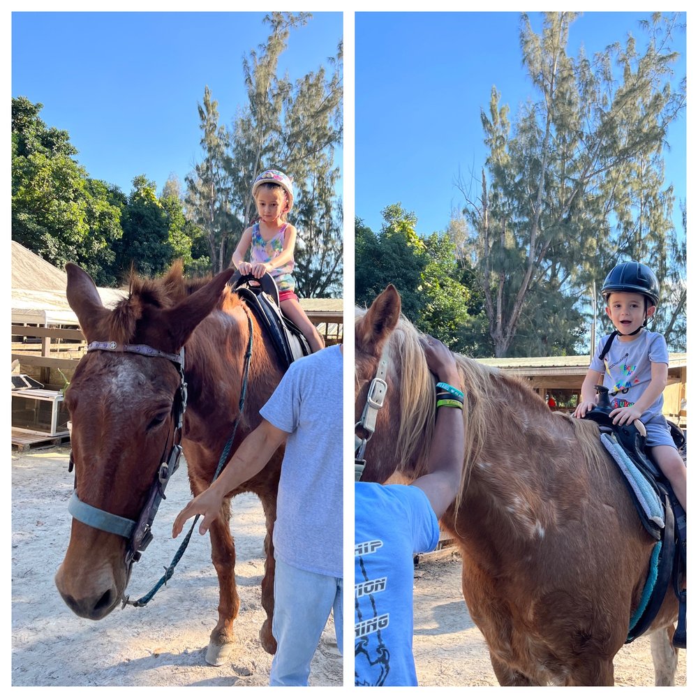 Happi Farm - Pony ride - Community Service/Non-Profit Near Me - Davie, Florida Happi Farm - Pony ride - Community Service/Non-Profit Near Me - Davie, Florida