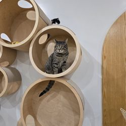 Meow Parlour - Jimmy
