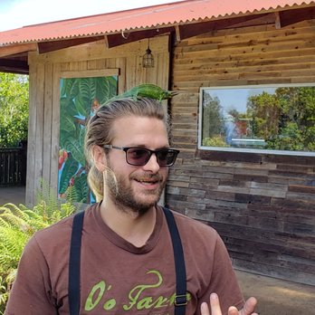 O'o Farms - Our tour guide with a chameleon on his head. - Food Tours Near Me - Kula, Hawaii O'o Farms - Our tour guide with a chameleon on his head. - Food Tours Near Me - Kula, Hawaii