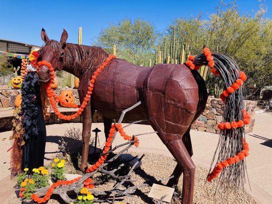 Tohono Chul | Gardens, Galleries, and Bistro by null