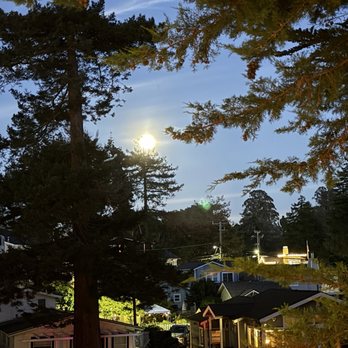 Shadowbrook - American Near Me - Capitola, California