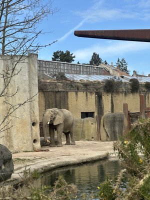 Zoo Basel by null
