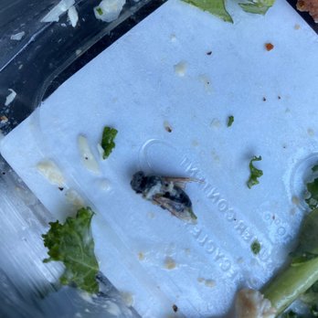 Trader Joe's - Dead fly - Grocery Near Me - San Diego, California Trader Joe's - Dead fly - Grocery Near Me - San Diego, California