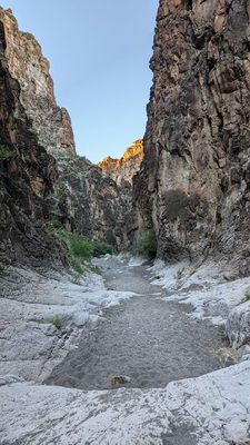 Big Bend Ranch State Park by null