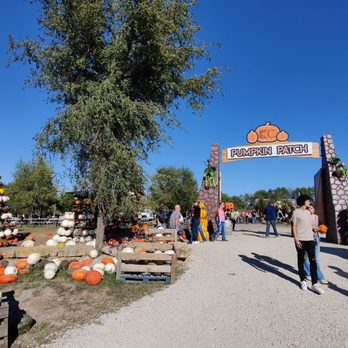 KC Pumpkin Patch - The entrance to the "patch" - Pumpkin Patches Near Me - Olathe, Kansas