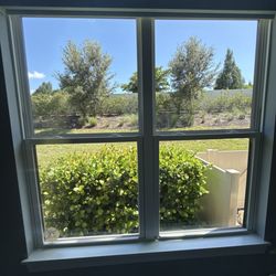 Adam Window Washing